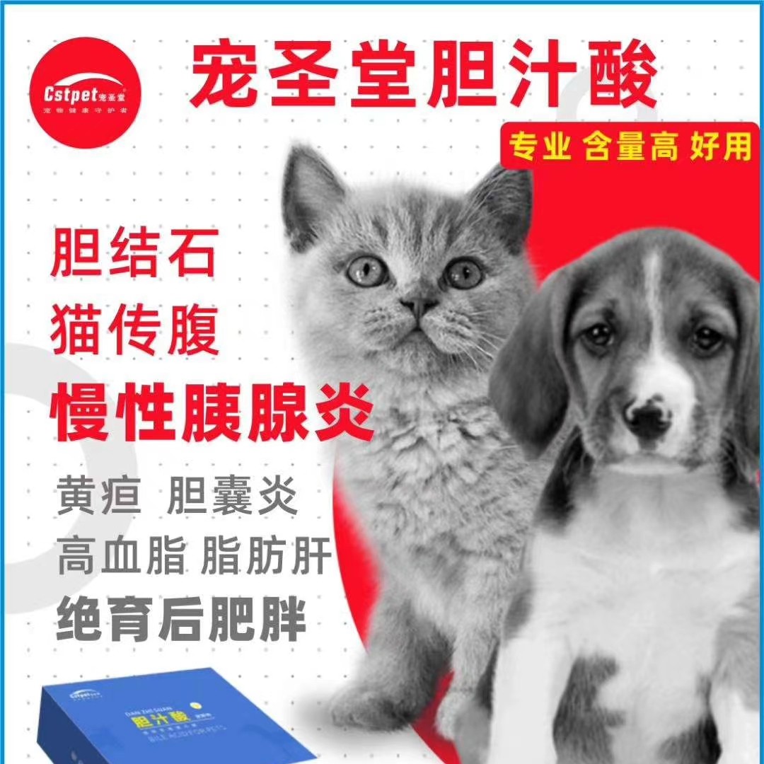 宠圣堂宠物肝胆盟胆汁酸护肝泪痕老犬猫传腹胰腺黄疸胆汁淤积结石