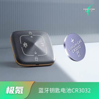 普仕淮适用于极氪001蓝牙钥匙纽扣电池CR3032汽车钥匙替换备用3V