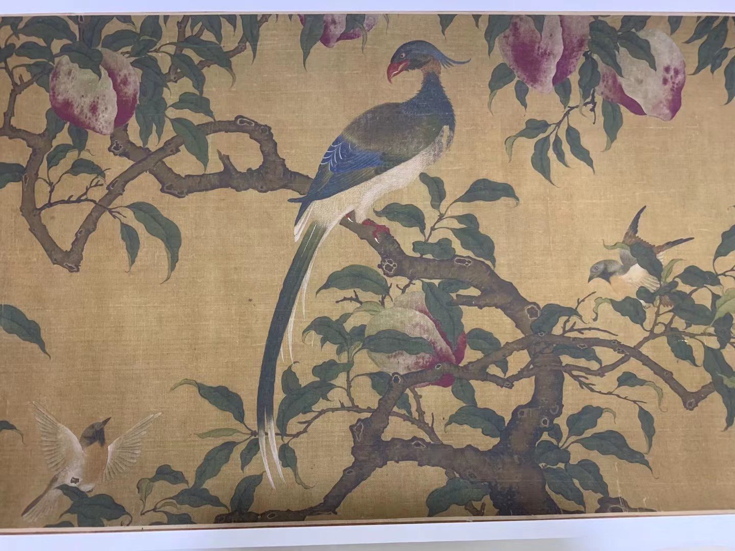 李迪 蟠桃青鸟图 古代花鸟图国画长卷 装饰画芯 手卷 微喷复制品