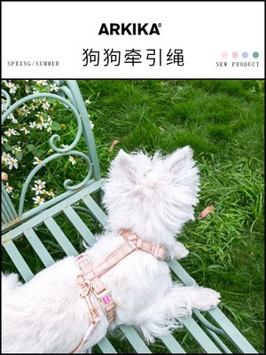 ARKIKA狗狗牵引绳子中小型犬遛狗项圈宠物胸带背心式泰迪外出遛狗