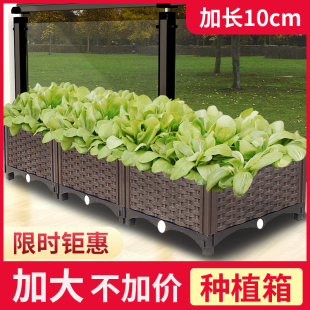 大 种植箱种菜神器家庭阳台专用箱蔬菜种花长方形花盆塑料2021新款