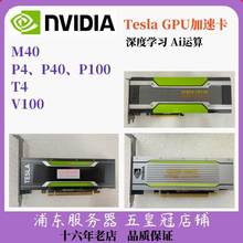 nvidia英伟达tesla p100 p40 p4 m40 t4 A10秒P6000P620 gpu显卡