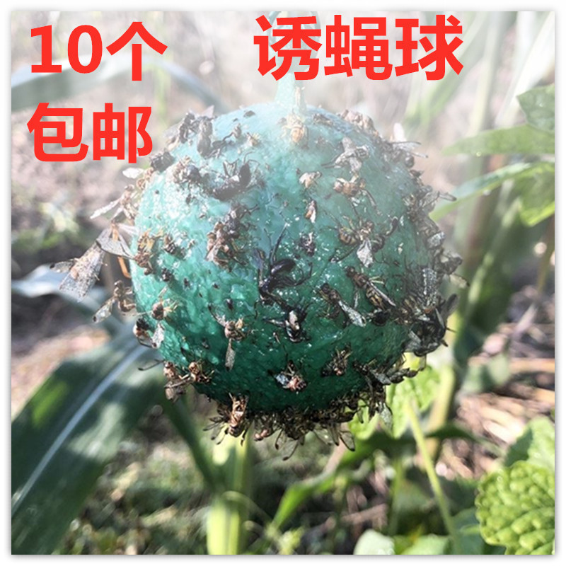 圆形粘粘球球形丰新款圆球专用杀蚊果树粘虫球诱蝇球粘板虫子园子