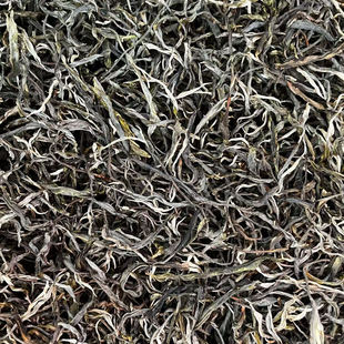 尖货分享 2025年老班章古树秋茶核心普洱生茶 散茶
