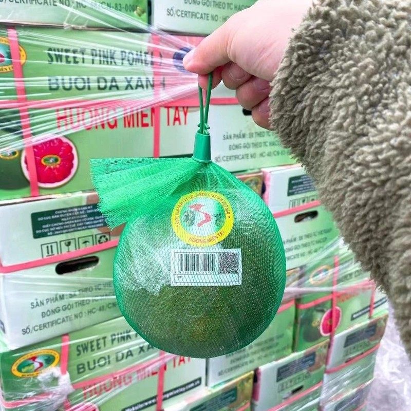 当季越南品种地图血柚6斤红心柚子红肉蜜柚青皮翡翠新鲜水果顺丰