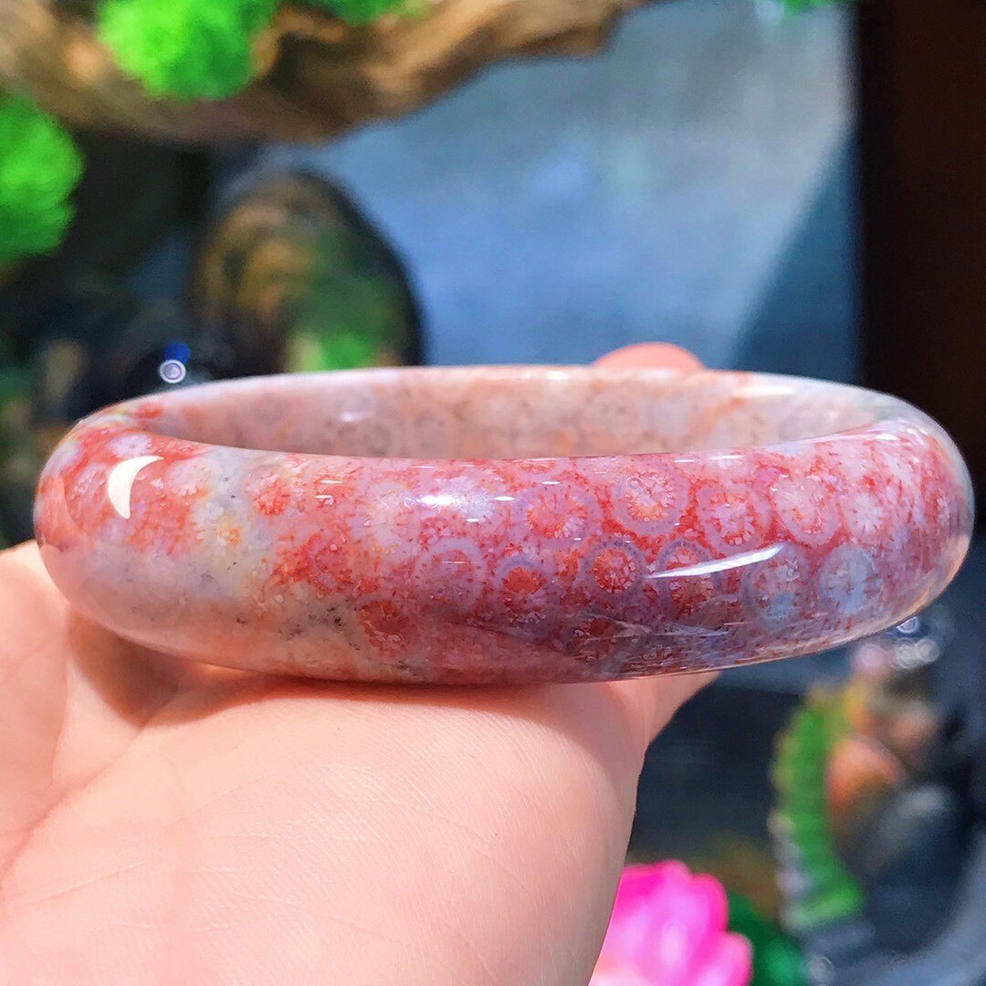 天然珊瑚玉紫罗兰手镯