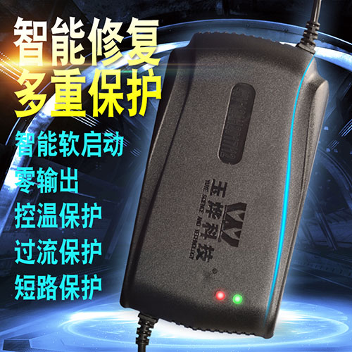 王派电动车电瓶充电器通用36V48V12ah60V64V72V30AH80V84V96V20AH