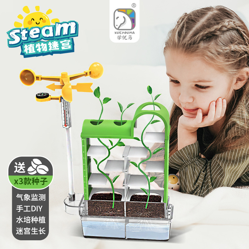 幼儿园小学生自然生态探索实验材料手工种植观察植物科学diy玩具-封面