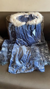 199!迪士尼礼服裙爱沙公 特价不退换!拍前请联系,不联系不发货