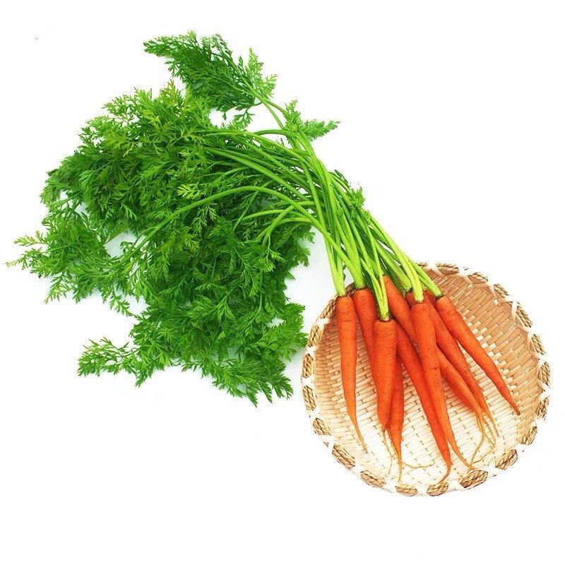 新鲜蔬果带叶小胡萝卜迷你手指胡萝卜西餐蔬菜500g手指萝卜