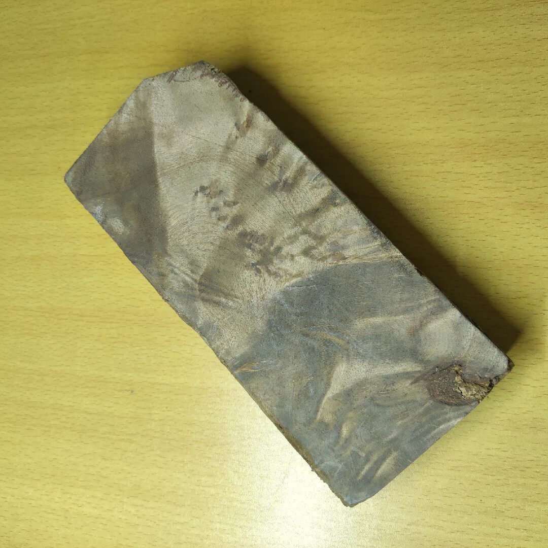 黄金樟一物一拍瘤疤料