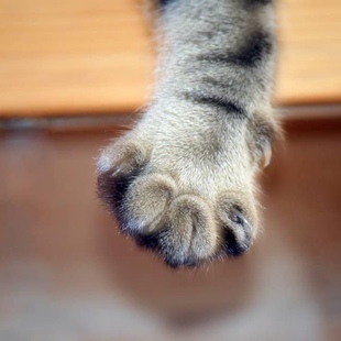 定金 专用 补差