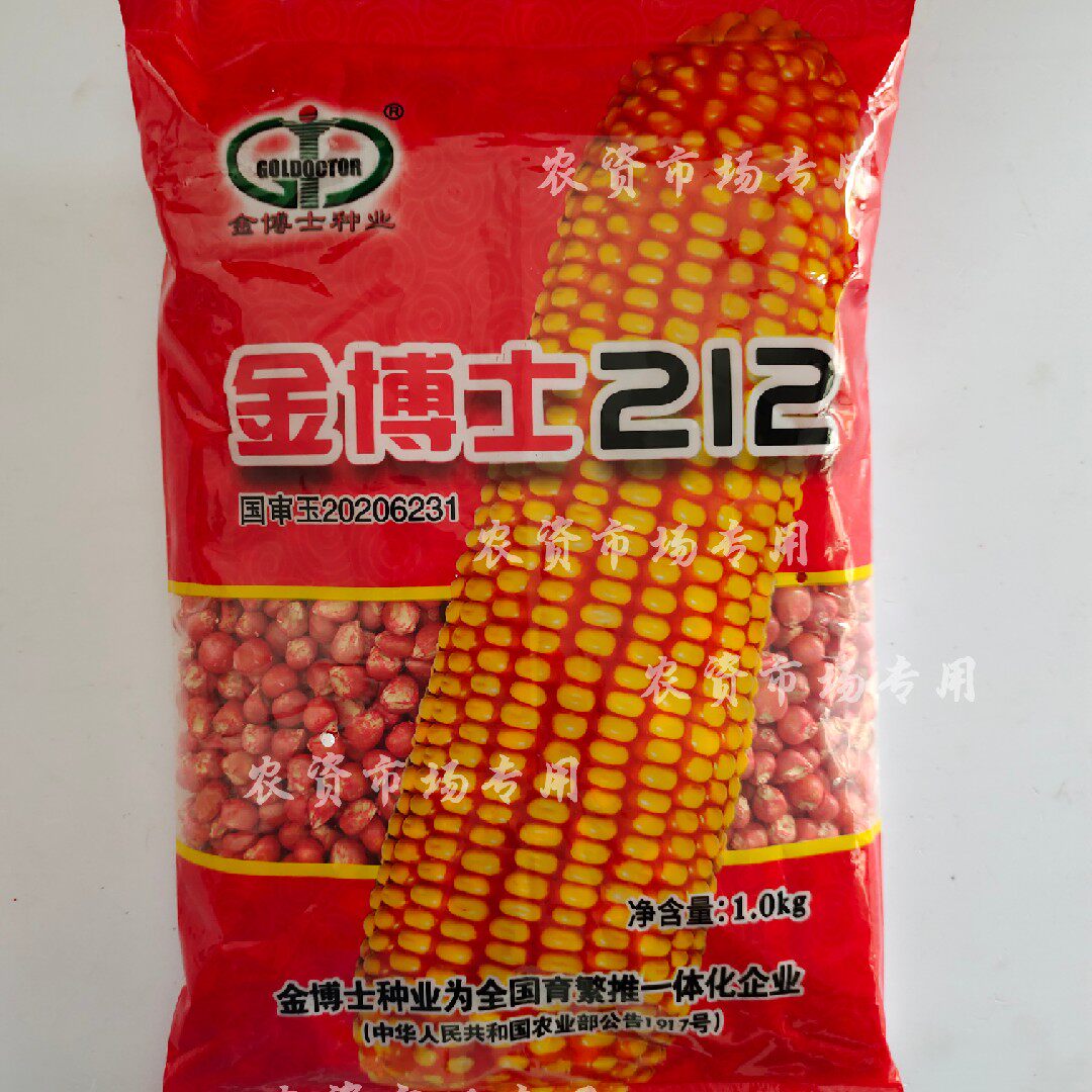 金博士212玉米种子春玉米出苗至成熟118天白芯 株型半紧凑 半马齿