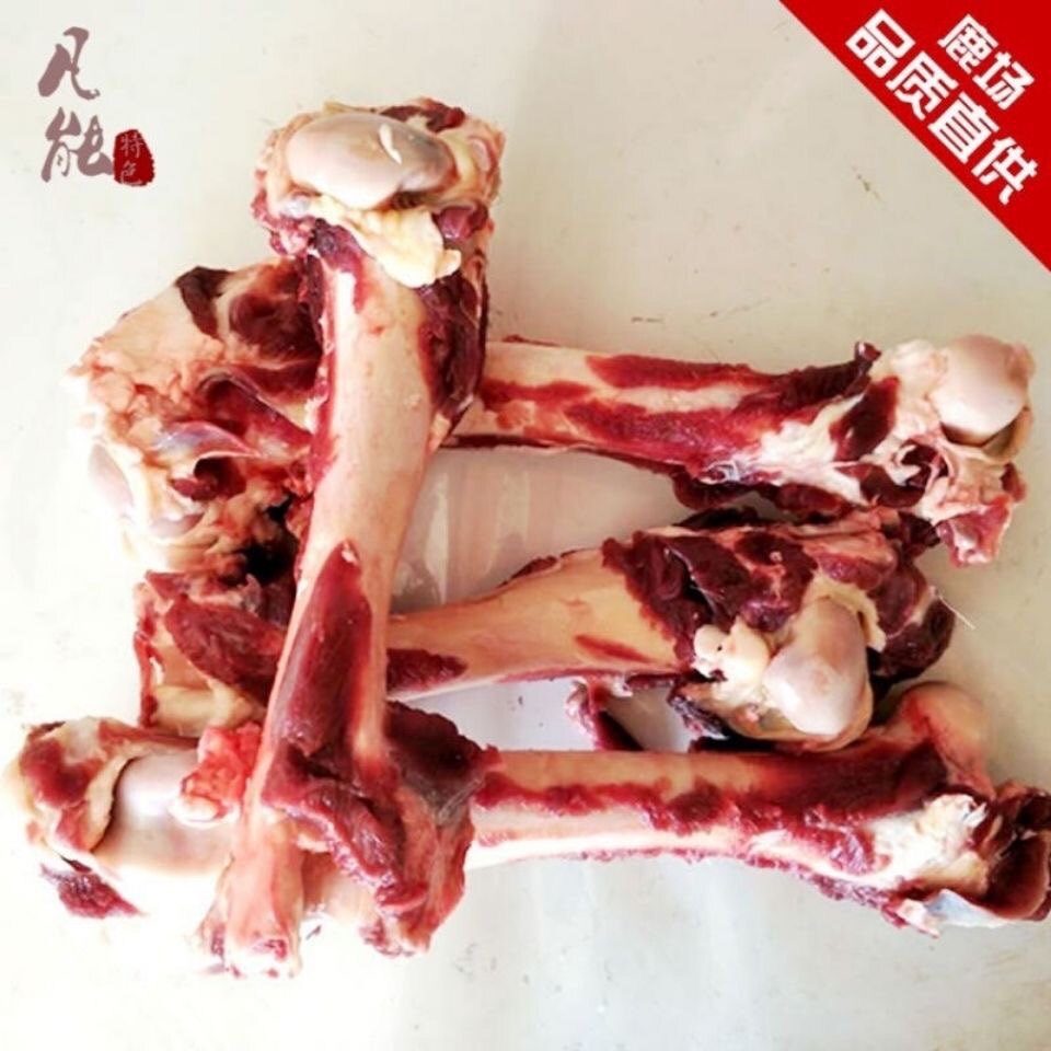新鲜梅花鹿腿骨带蹄子煲汤泡酒 鹿腿骨 鹿脊骨 五斤起卖整根腿骨
