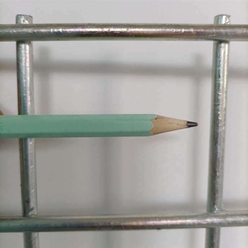 建筑片长网钢筋养殖狗笼钢围栏镀锌铁丝网养殖网q网格加粗小孔孔