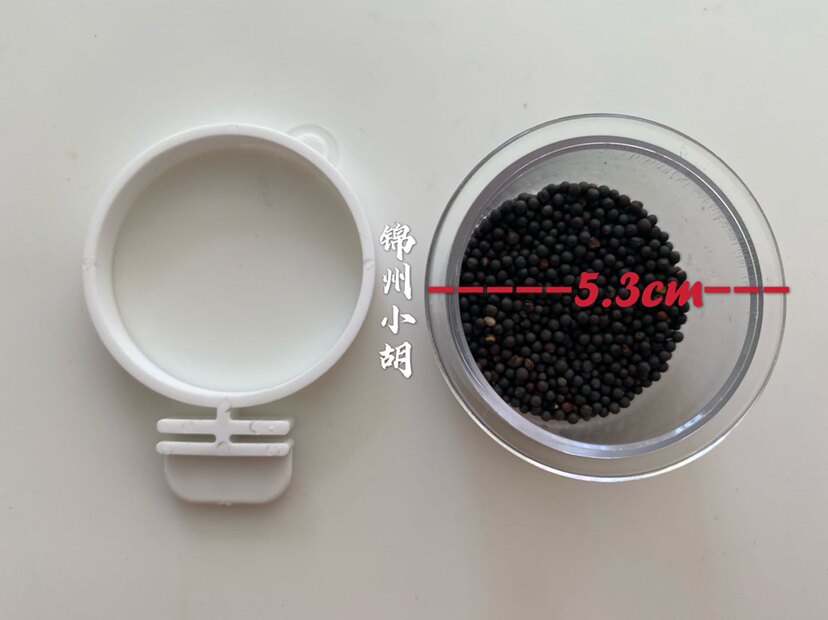 方便杯保健砂杯透明鸟用具塑料鸟用品喂食器 10个包邮