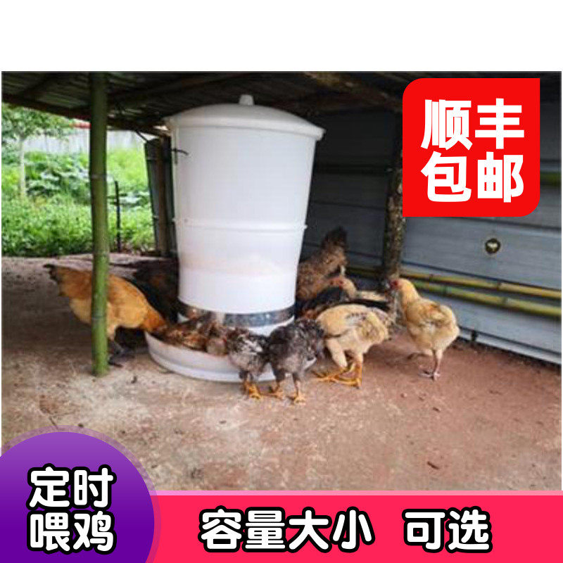 养鸡自动喂食器定时远程控制鸭用鸽子投料机料桶养殖户外鸡舍设备
