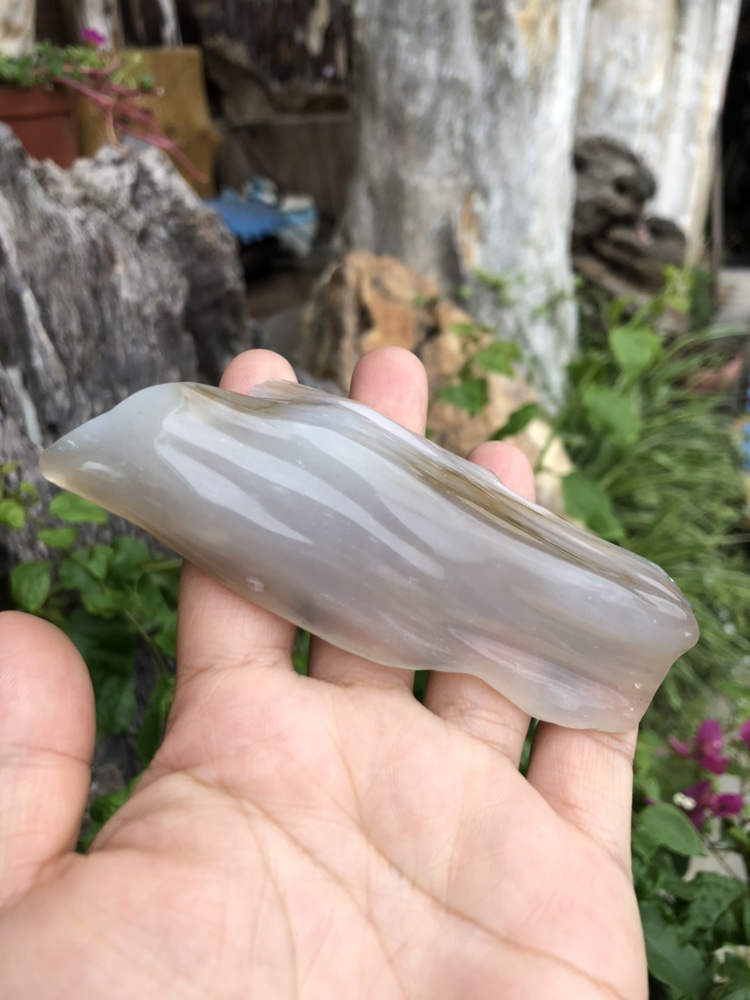缅甸树化玉手把把件