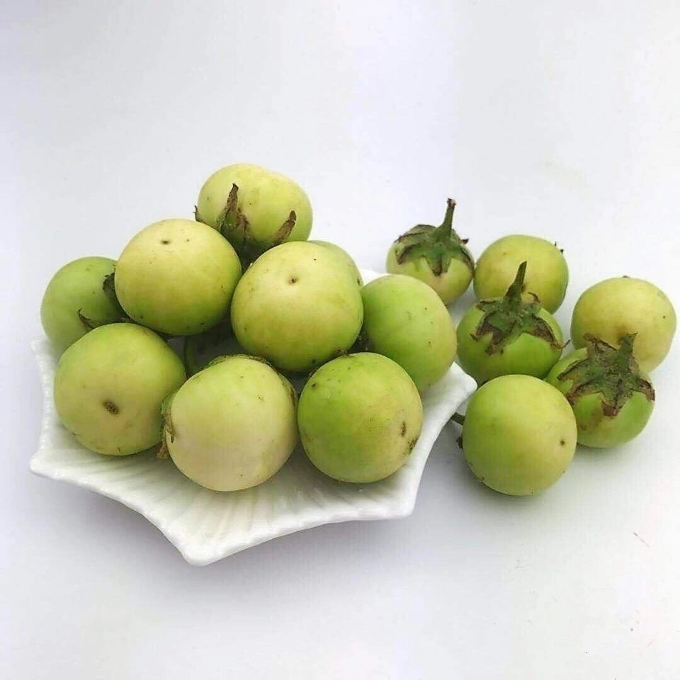 越南新鲜小圆茄绿茄子ca phao chua泰国料理越南菜泰国小圆茄