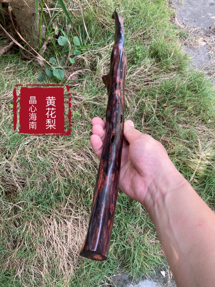 已请出晶心海南黄花梨紫油梨横财摆件海黄收藏天然千年野生老料