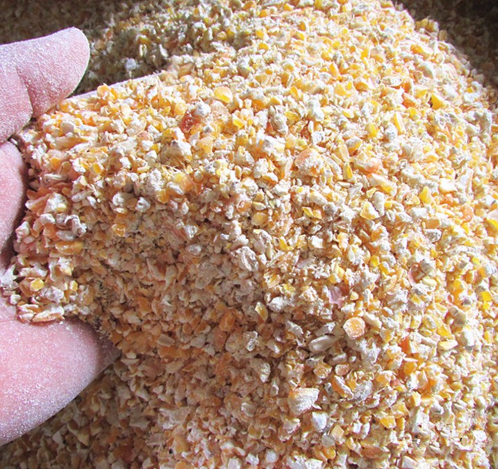 Free mail 5 kg pack 】 chicken feed corn kernels corn crumbs