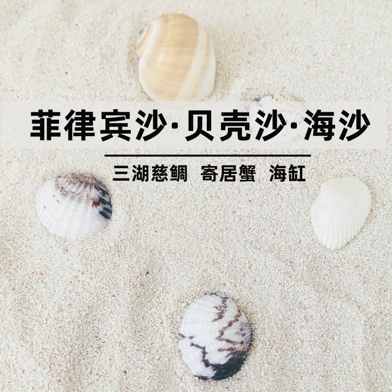 菲律宾沙贝壳沙珊瑚砂白沙鱼缸底砂造景海缸三湖慈鲷寄居蟹底沙石