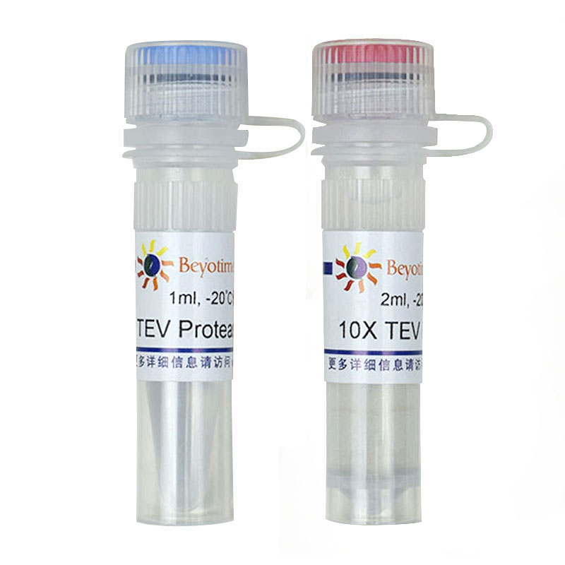 碧云天 Beyotime P2307 P2308 TEV Protease(His-tag)