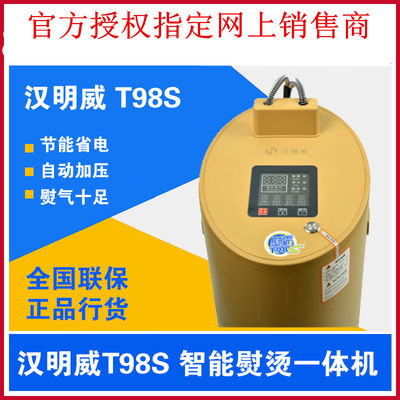 汉明威T98ST98V+服装厂电加热蒸汽锅炉工业锅炉熨斗一体机炉连斗