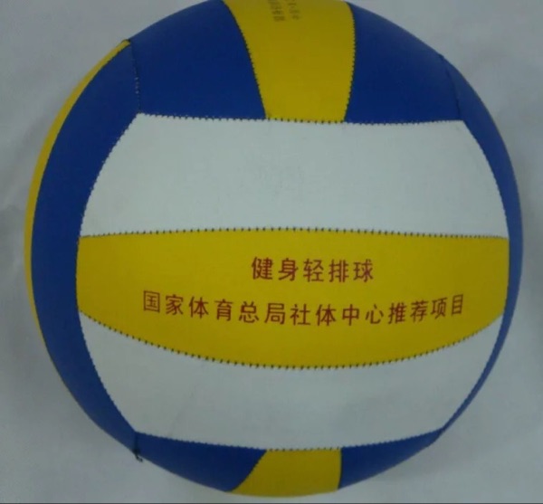 Ballon de volley - Ref 2010821 Image 1
