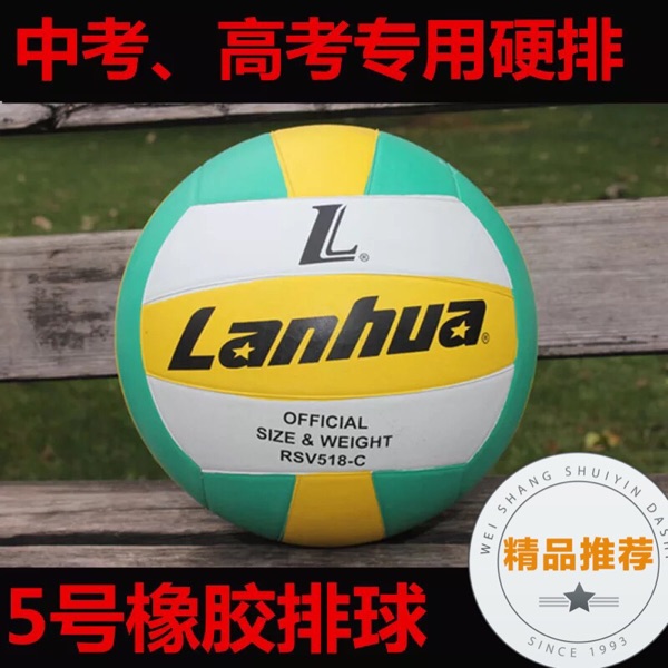 Ballon de volley - Ref 2010884 Image 1