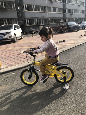 Re:健儿儿童自行车质量怎么样,是名牌吗?亲身使用两个月真实