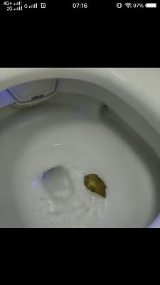 摩普智能马桶质量怎么样讲讲用后心得