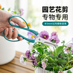 日本ECHO园艺剪刀尖头长柄花卉盆景盆栽修枝剪子家用插花专用神器