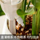 自动滴水器懒人浇花神器家用绿植浇水器外出差盆栽定时滴灌渗水器