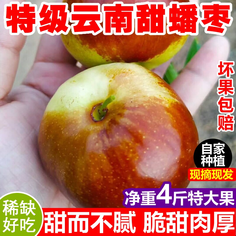 现摘蟠枣新鲜脆甜特一级超大水果当季孕妇青红冬枣沾化运城蟠桃枣