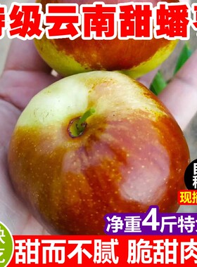 现摘蟠枣新鲜脆甜特一级超大水果当季孕妇青红冬枣沾化运城蟠桃枣
