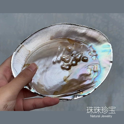 Натуральная пресноводная раковина жемчужная раковина полирована с ювелирными украшениями рыбки аквариум -ландшафт творческая тарелка