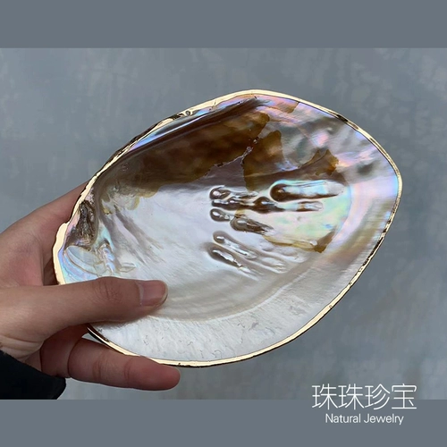 Натуральная пресноводная раковина жемчужная раковина полирована с ювелирными украшениями рыбки аквариум -ландшафт творческая тарелка