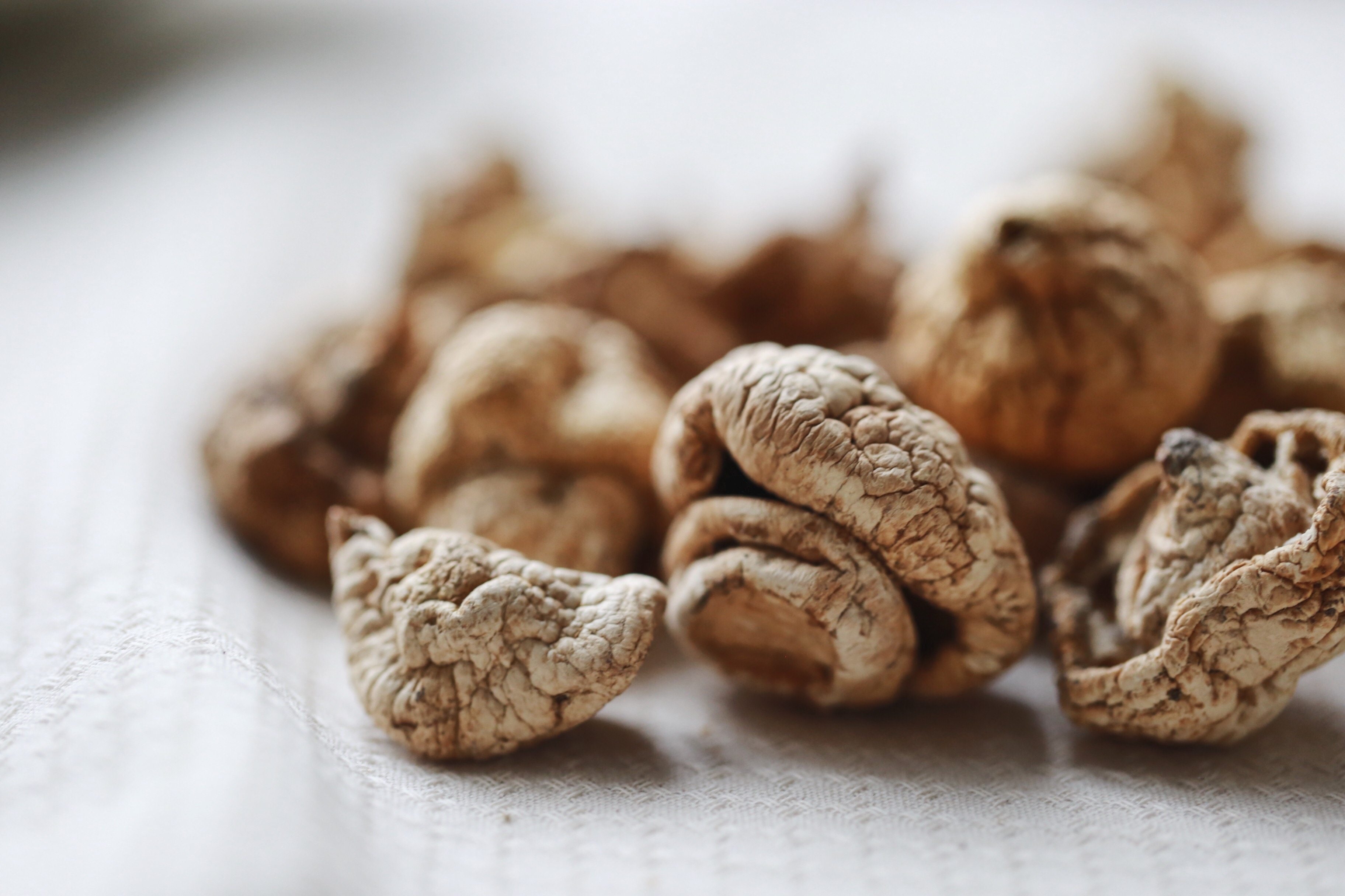 野生白菌 黄菇 丁字菇正宗四川甘孜石渠白菌 a级靓货100克