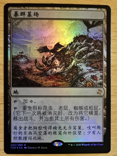 呆呆龙卡牌 万智牌 平/闪 时间漩涡重制版 简中/英文 暴群墓场