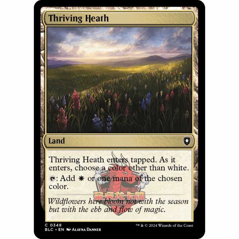 万智牌 兴旺岛屿 Thriving Isle 349 英文 平 斑隆洛图片