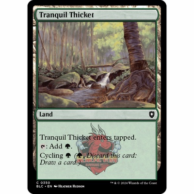 万智牌 静谧灌丛 Tranquil Thicket 350 英文 平 斑隆洛 BLB