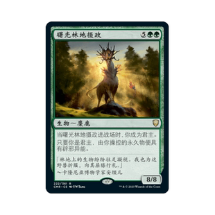 簡中 指揮官傳奇 呆呆龍 曙光林地攝政 閃 擴畫 平 萬智牌 英文