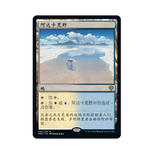 呆呆龙卡牌 万智牌 阿达卡荒野 简中/英文 平/闪 众志成城 地
