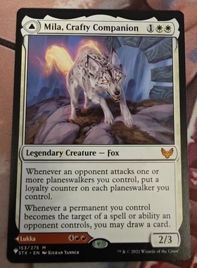 呆呆龙卡牌 万智牌 英文 the list 灵巧行侣米拉 白色 秘稀