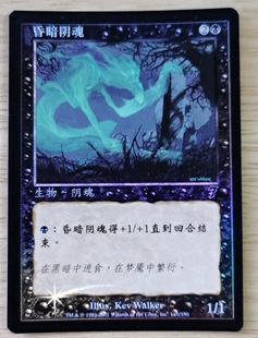 呆呆龙卡牌 万智牌 平/闪 简中 昏暗阴魂 第七版