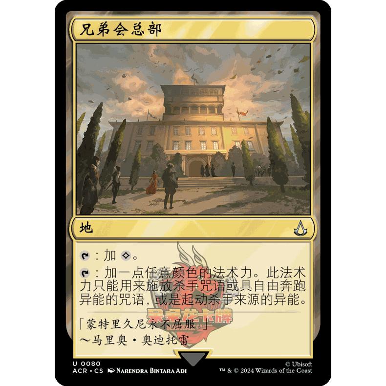呆呆龙卡牌 万智牌 兄弟会总部桌游卡牌