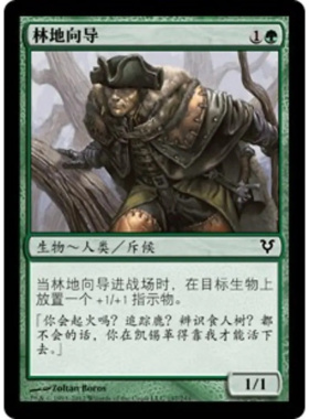 呆呆龙卡牌 万智牌 林地向导 简中 艾维欣重临 绿色 铁