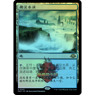 万智牌 闪 潮没水滨 日印 简中/英文/纪念 摩登新篇3 MH3 地 金