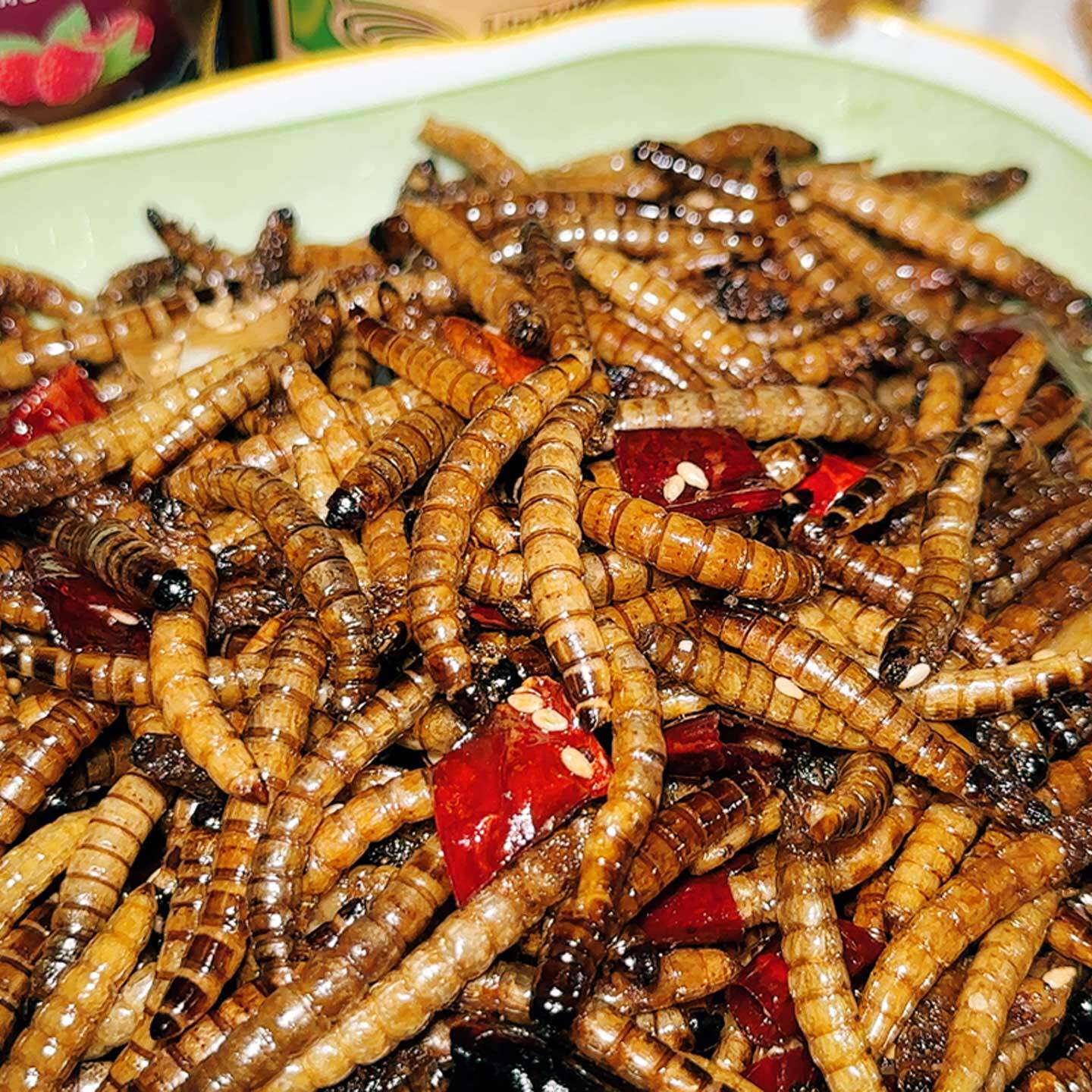 油炸大麦虫虫子美食食用昆虫美味香酥脆即食高蛋白质下酒小吃零食